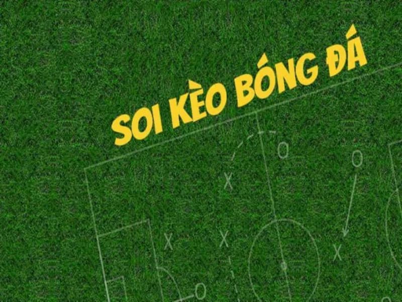 Các loại kèo bóng đá phổ biến và cách áp dụng thông tin từ 7m