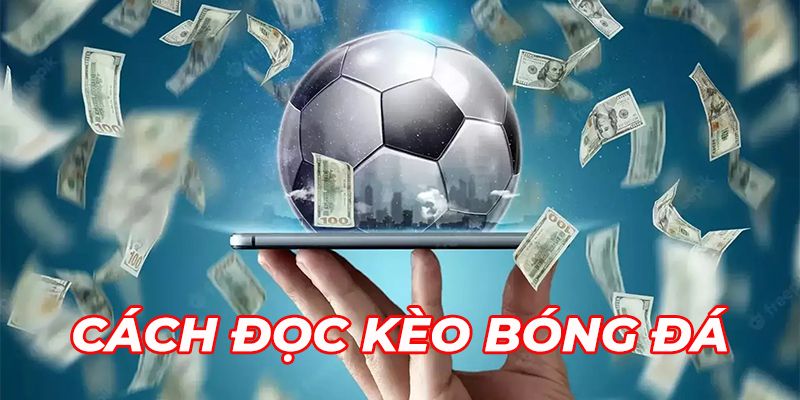 Tỷ lệ kèo nhà cái Cách đọc và áp dụng tỷ lệ kèo nhà cái hiệu quả