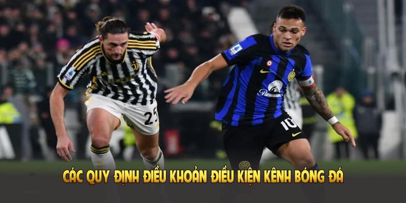 điều khoản dịch vụ Vai trò quan trọng của điều khoản dịch vụ trong nền tảng casino trực tuyến