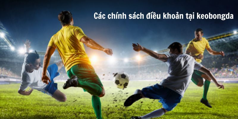 điều khoản dịch vụ Những điểm khác biệt trong điều khoản dịch vụ của Kèo Bóng Đá